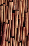 Cinnamon Bark, Organic